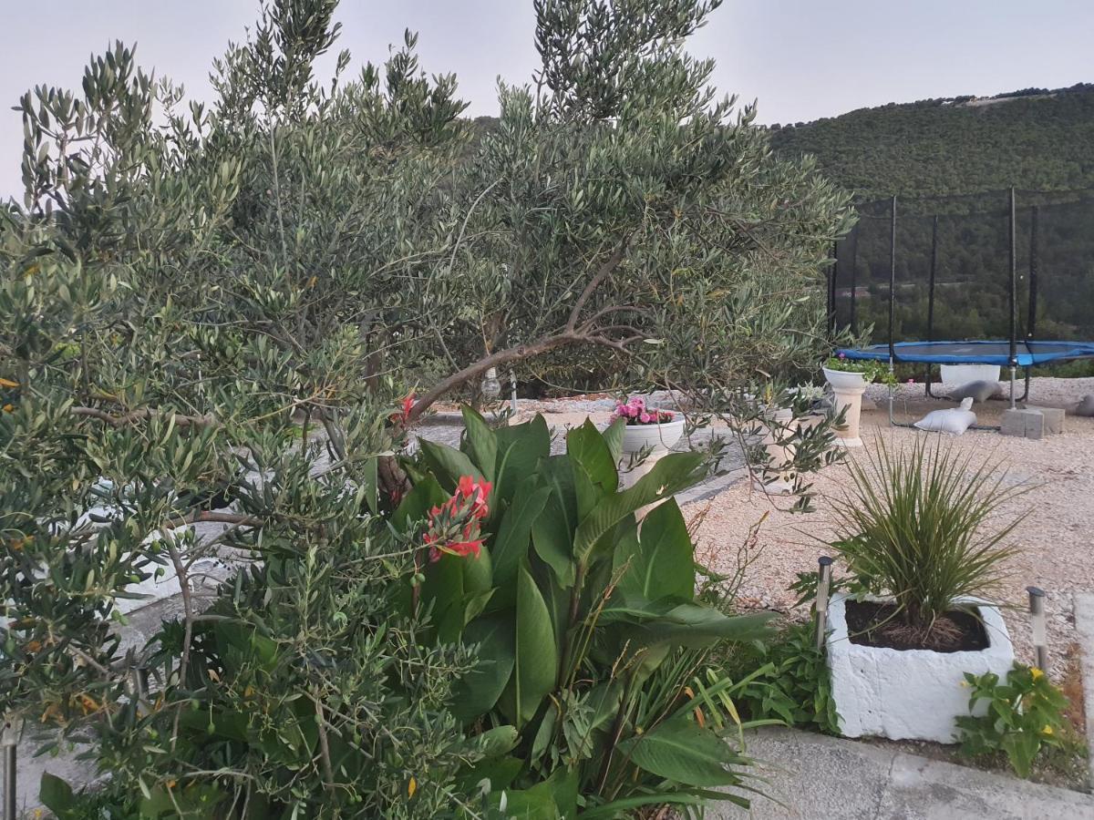 Apartman Mare Šibenik Екстериор снимка